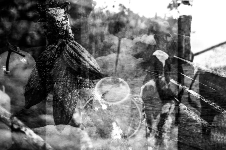 Photo by Adrian Romero