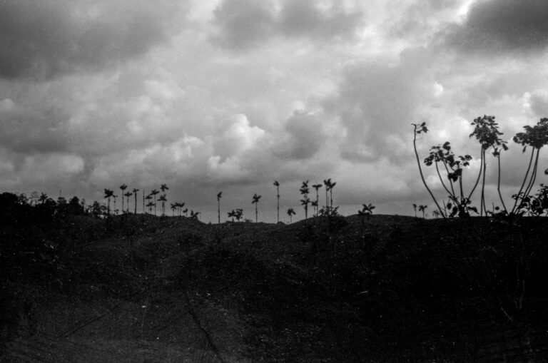 Photo by Adrian Romero