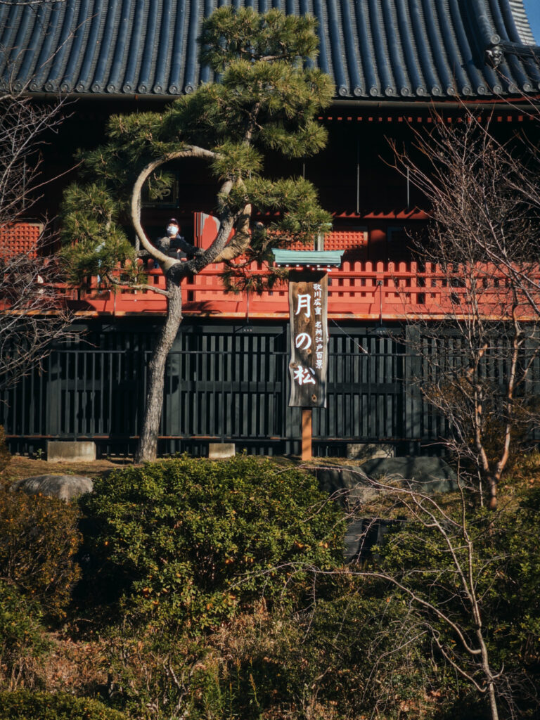 Photo by Konstantin Korsun