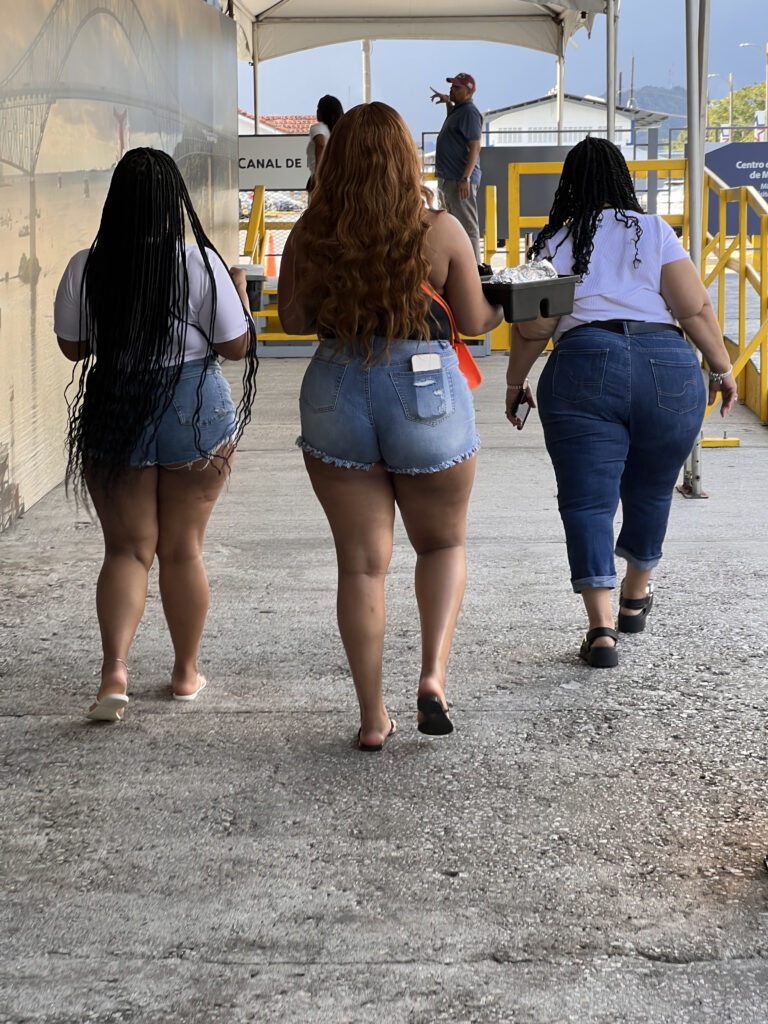 Photo by Istvan Bauer