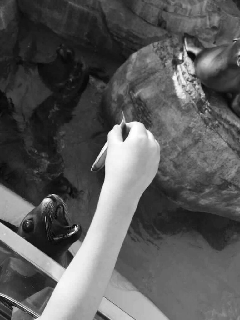 Photo by Melek Photophile