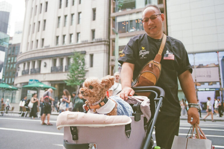 Photo by Alexander Wayk