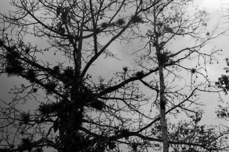 Photo by Adrian Romero