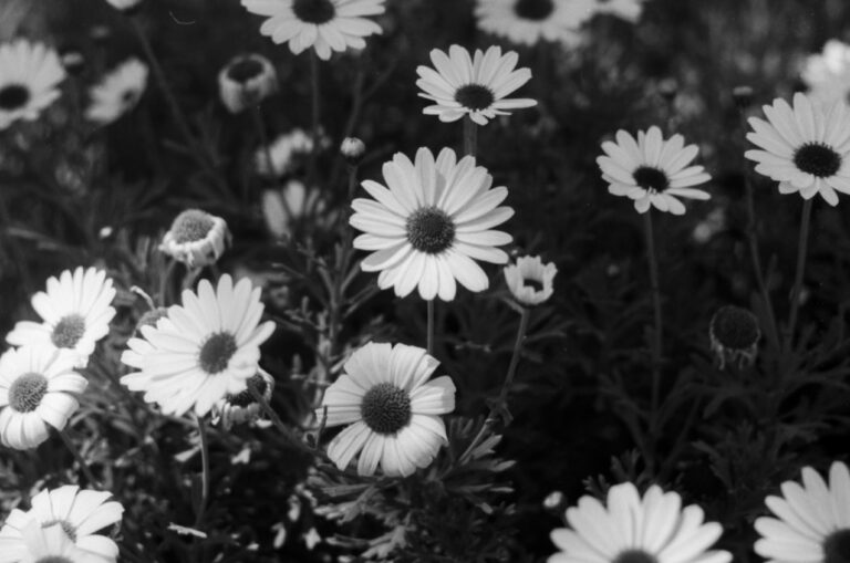 Photo by Adrian Romero