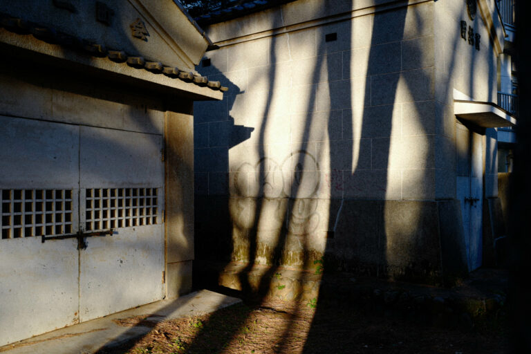 Photo by Nicholas Takeyama