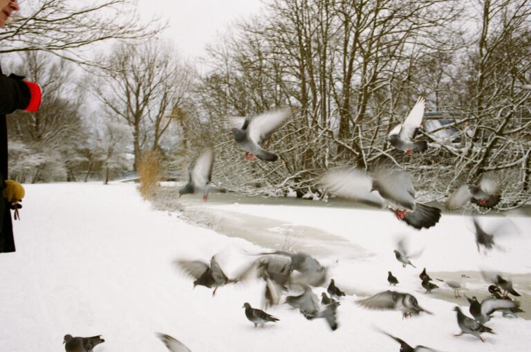 Photo by Hidde Kleijn