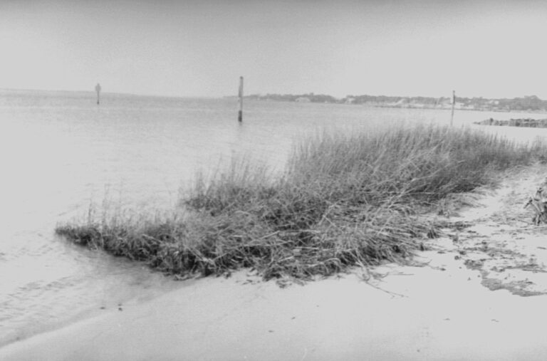 Street photo in Carolina Beach, United States by Christian Gainey