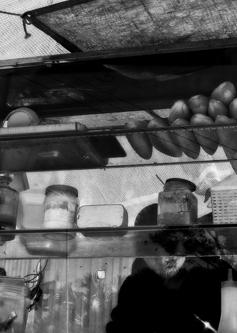 Photo by David Rockwood