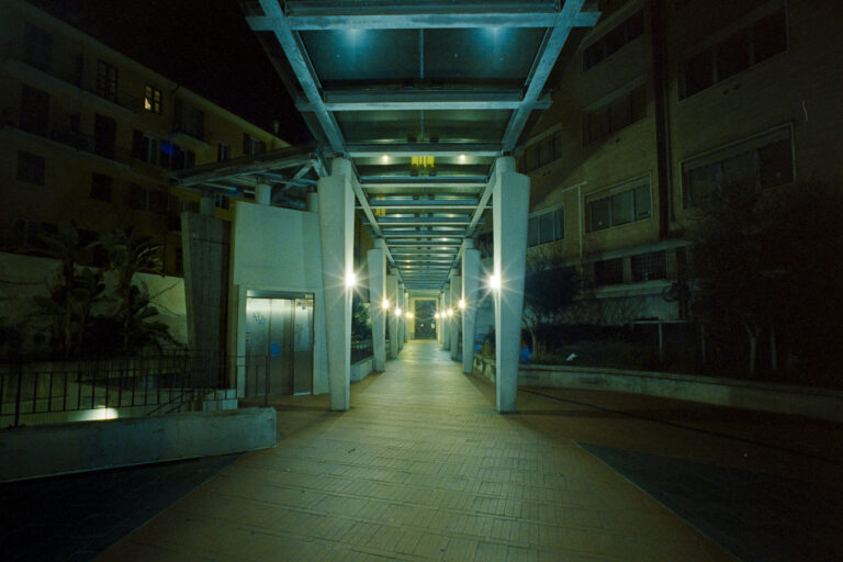 Photo by Valentino Passerini