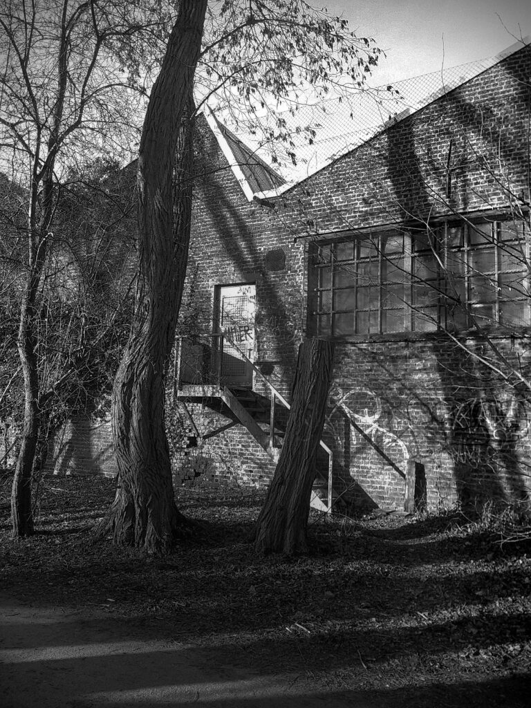 Photo by Eric Lebeau