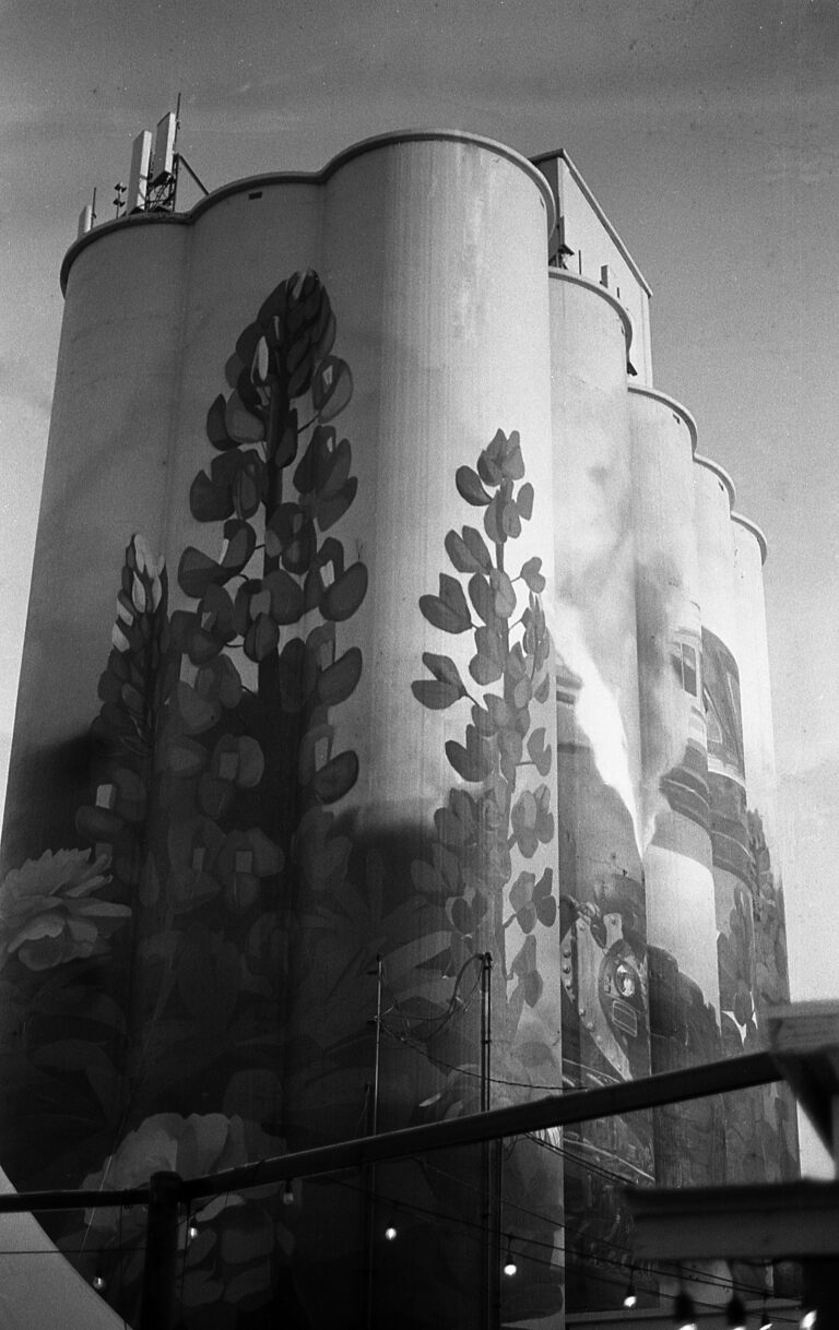 Photo by James Henningson