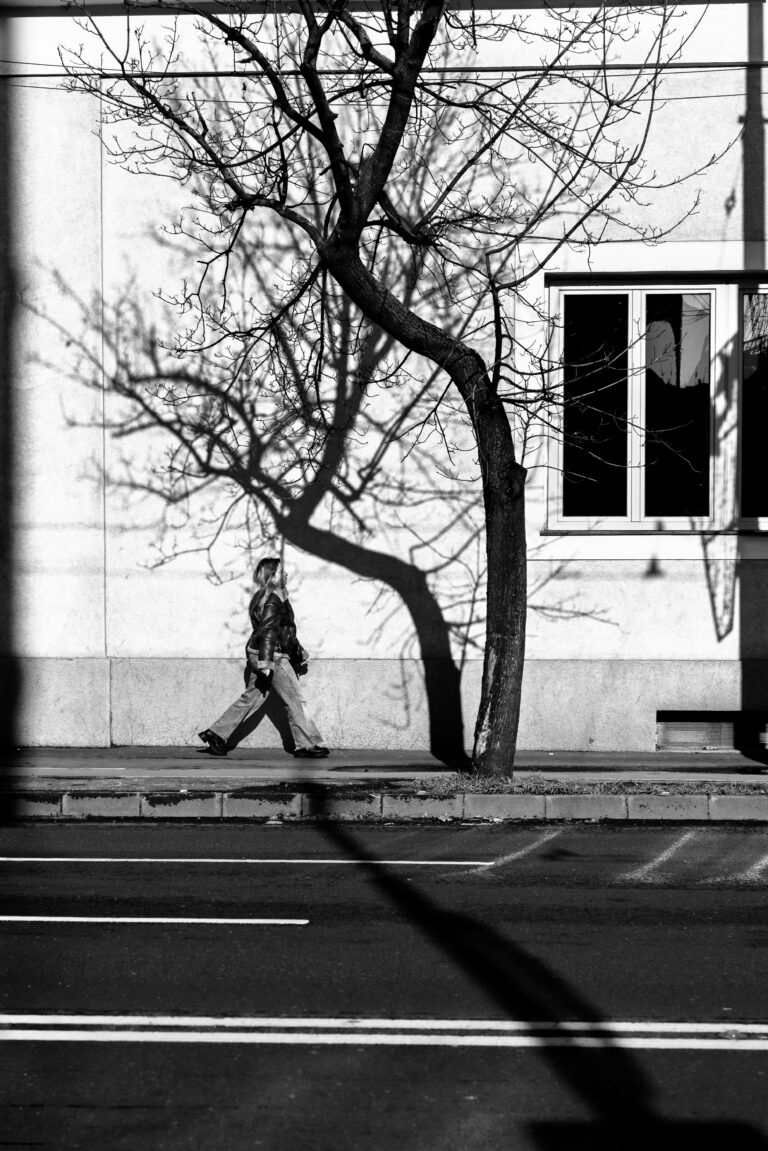 Photo by Cosnete Marian