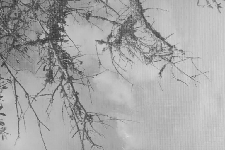 Photo by Christian Gainey