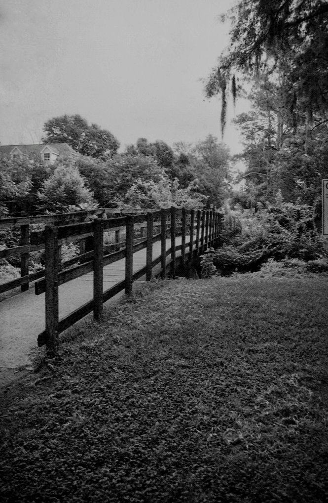 Photo by Christian Gainey