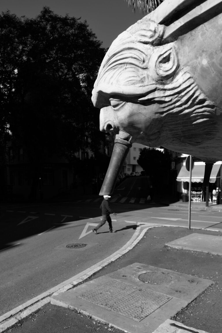 Photo by Pascal Hoerner