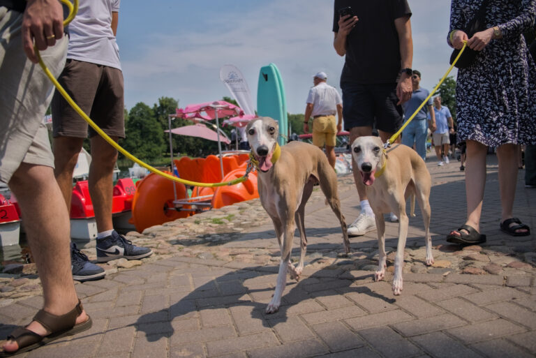 Photo by Black Pixel