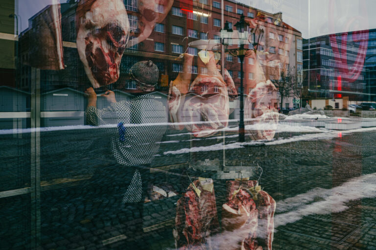 Photo by Liburek Nyvltu