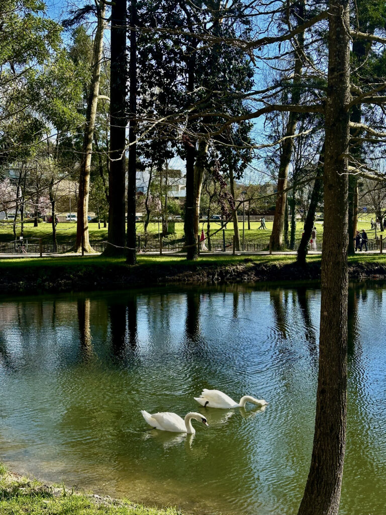 Street photo in São João de Caldas de Vizela, Portugal by Mariana Carvalho