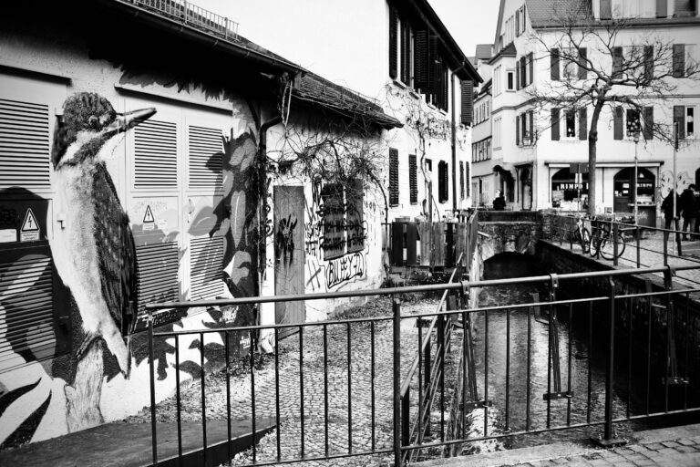 Photo by Jef 📷🍀