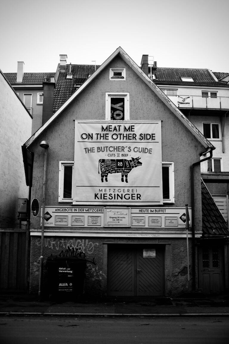 Photo by Jef 📷🍀