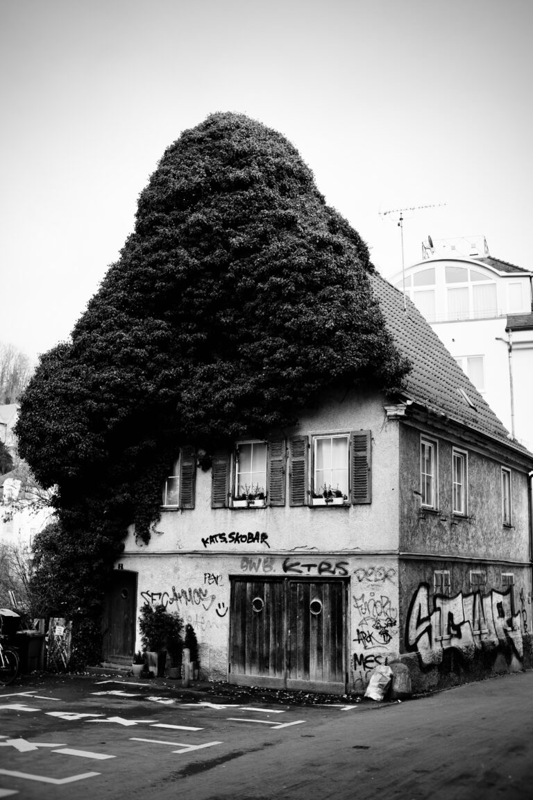 Photo by Jef 📷🍀