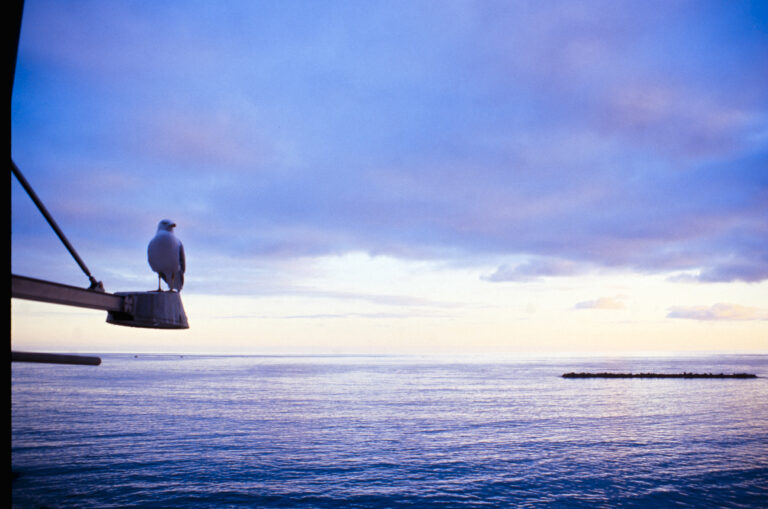 Photo by Valentino Passerini