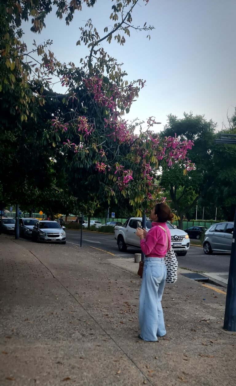 Photo by Rodrigo Marcotich