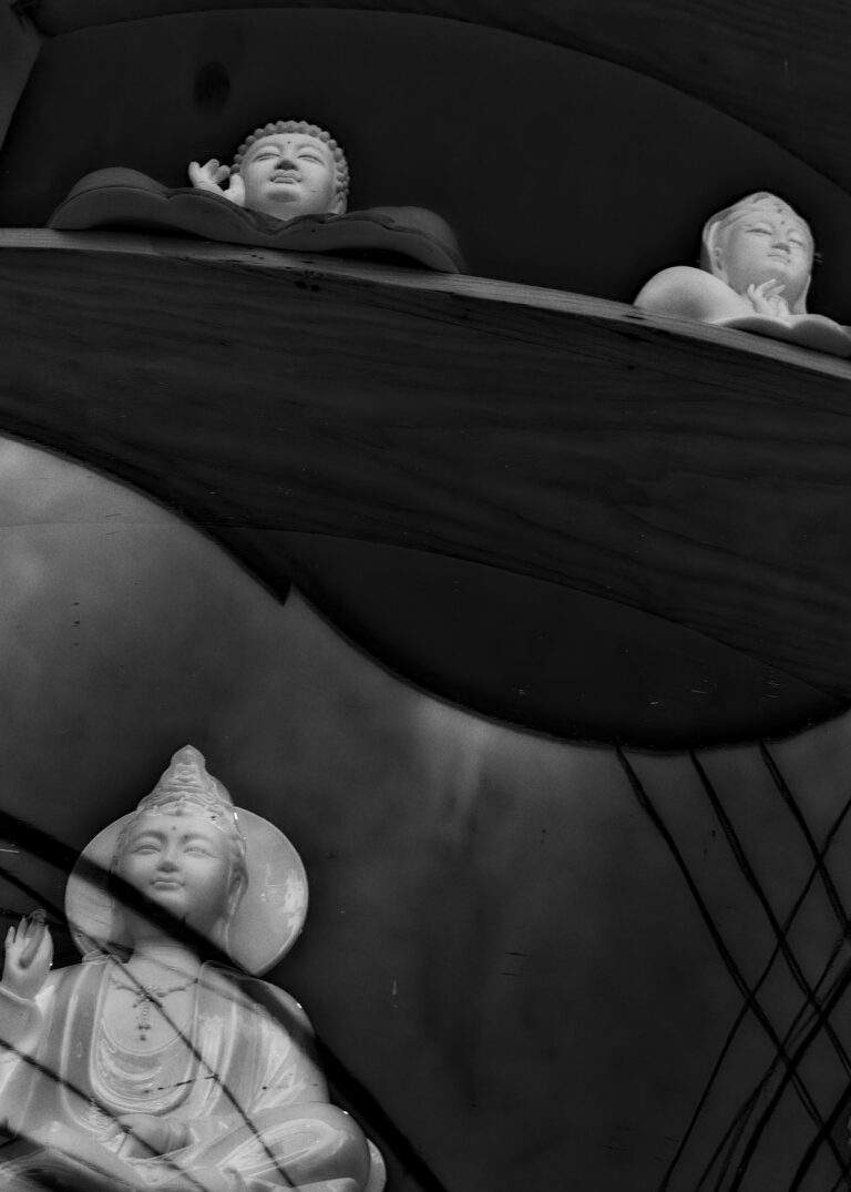 Photo by David Rockwood