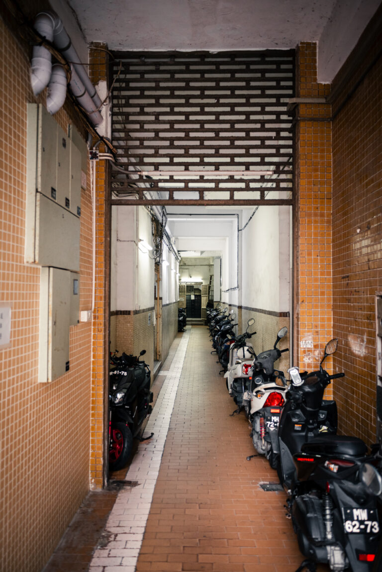 Photo by Stephen Lee