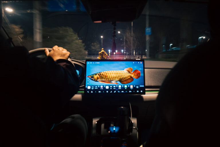 Photo by Alex 艾老师