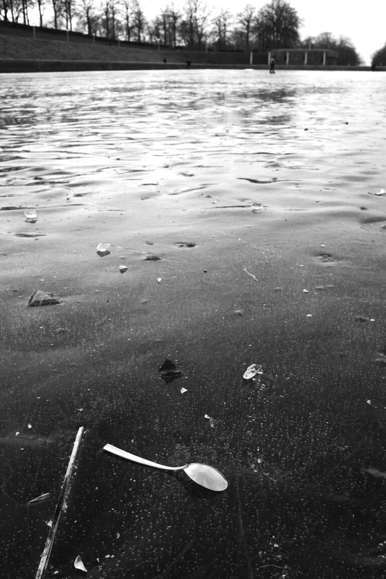 Photo by Florian Schoppe