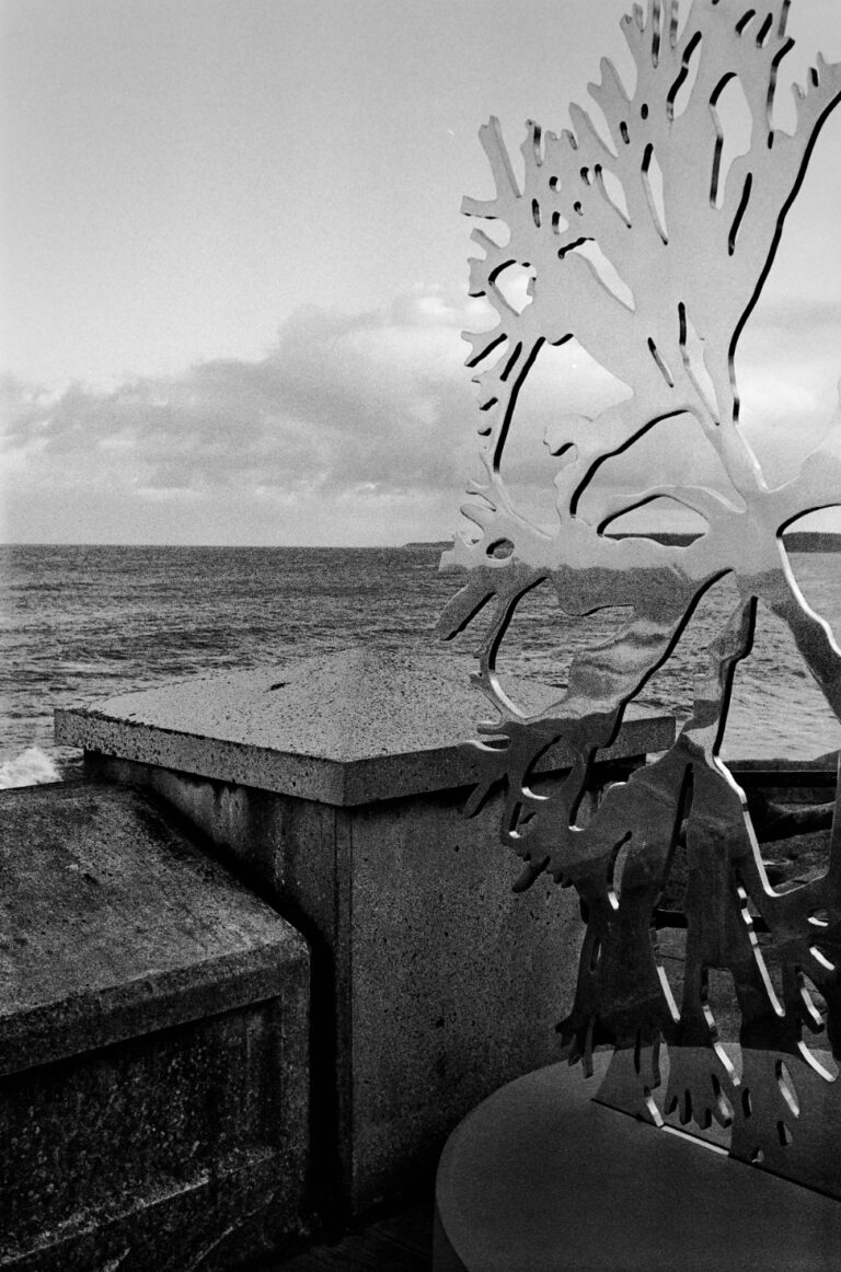 Photo by Paul Martin