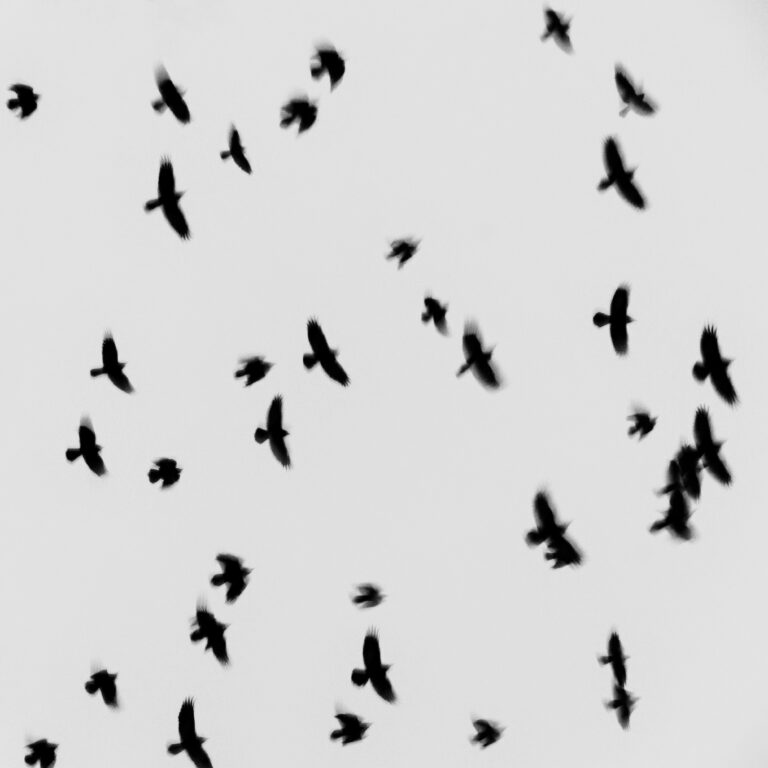 Photo by Armen Musheghyan