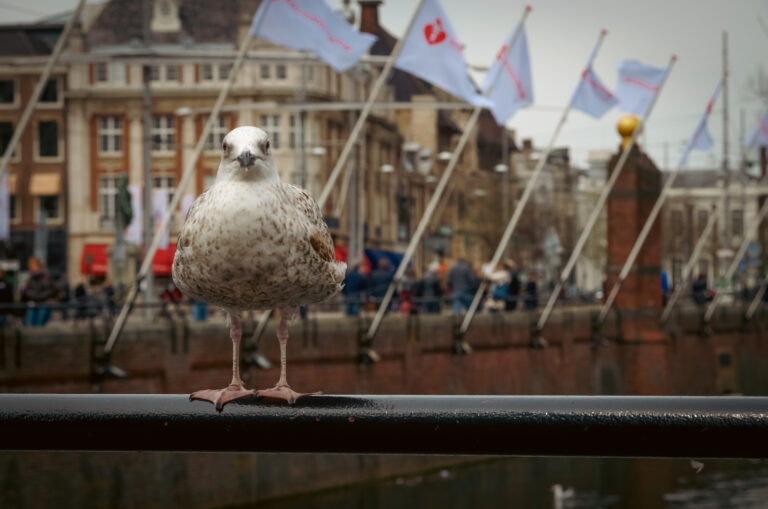 Street photo in Belgium by Vasiliy V. Rechevskiy