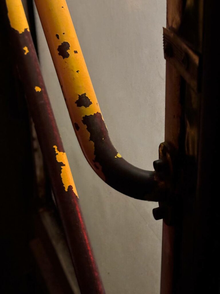 Photo by Darina Skobeleva