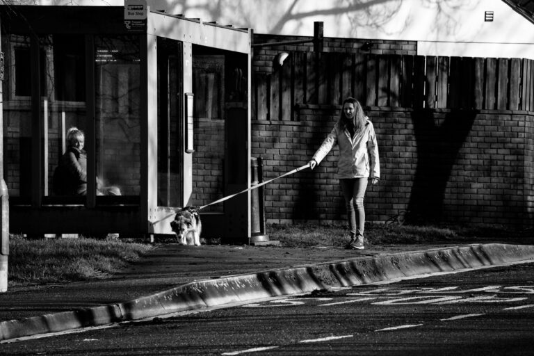 Photo by Leon Maillard