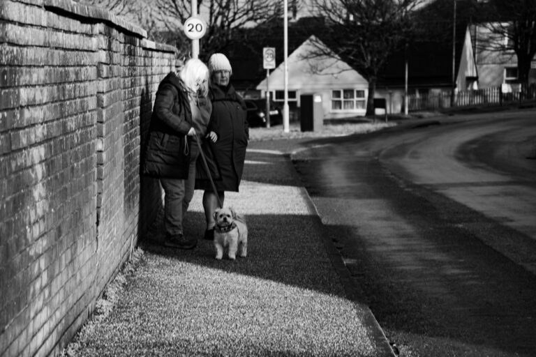 Photo by Leon Maillard