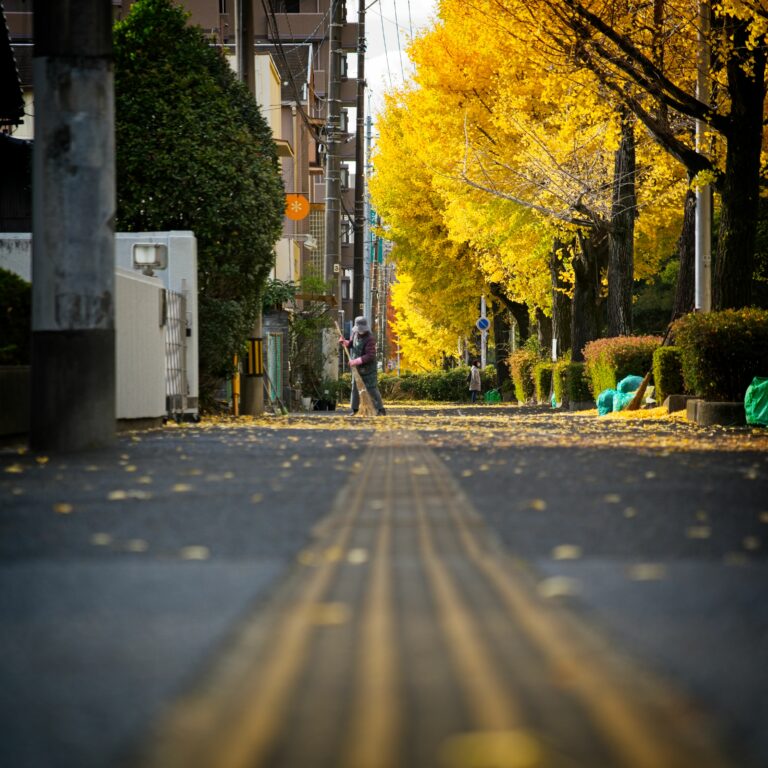 Photo by Mike Carter