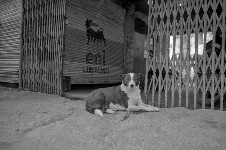 Photo by Black Pixel