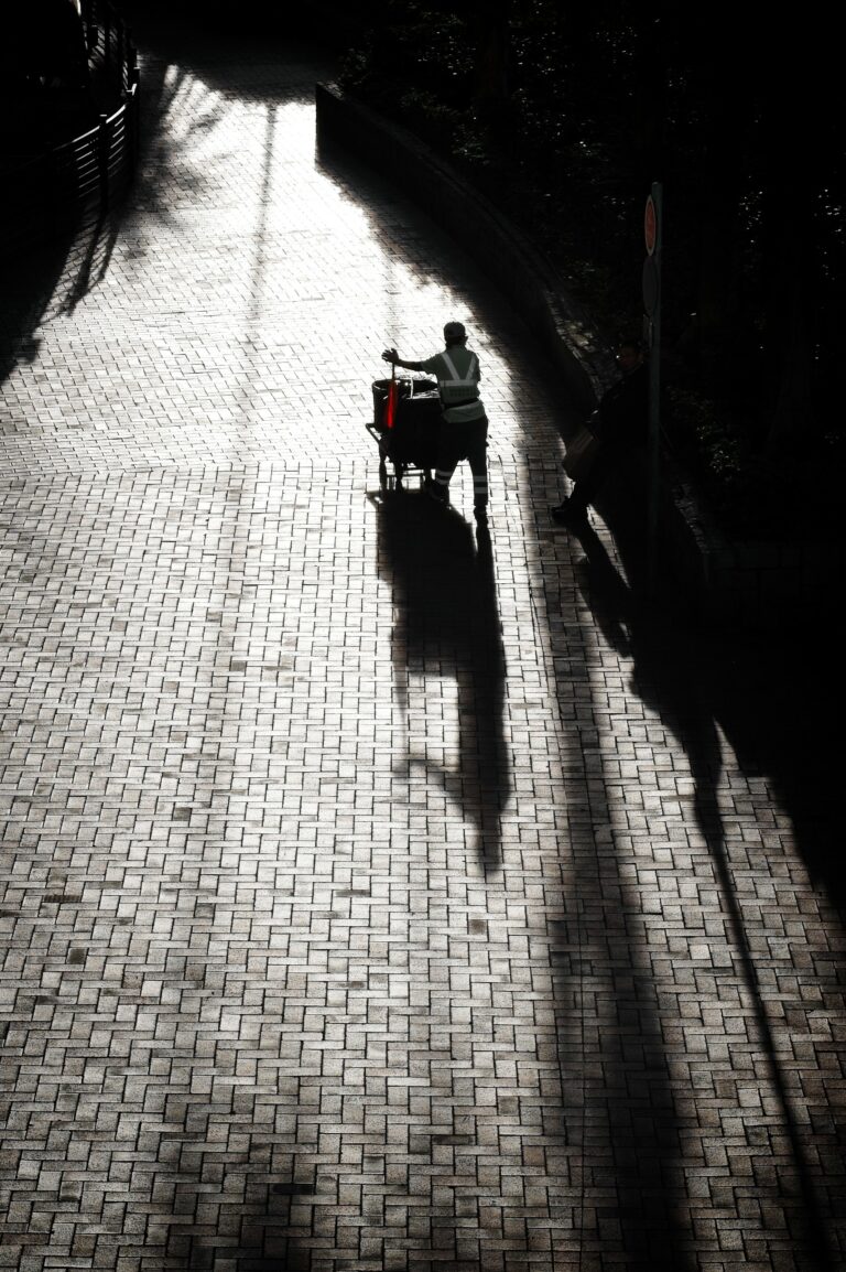 Photo by Stephen Lee