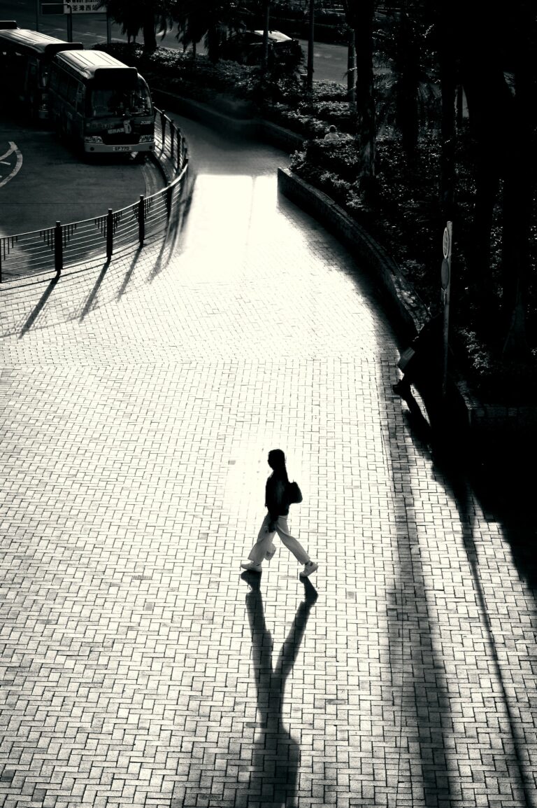 Photo by Stephen Lee