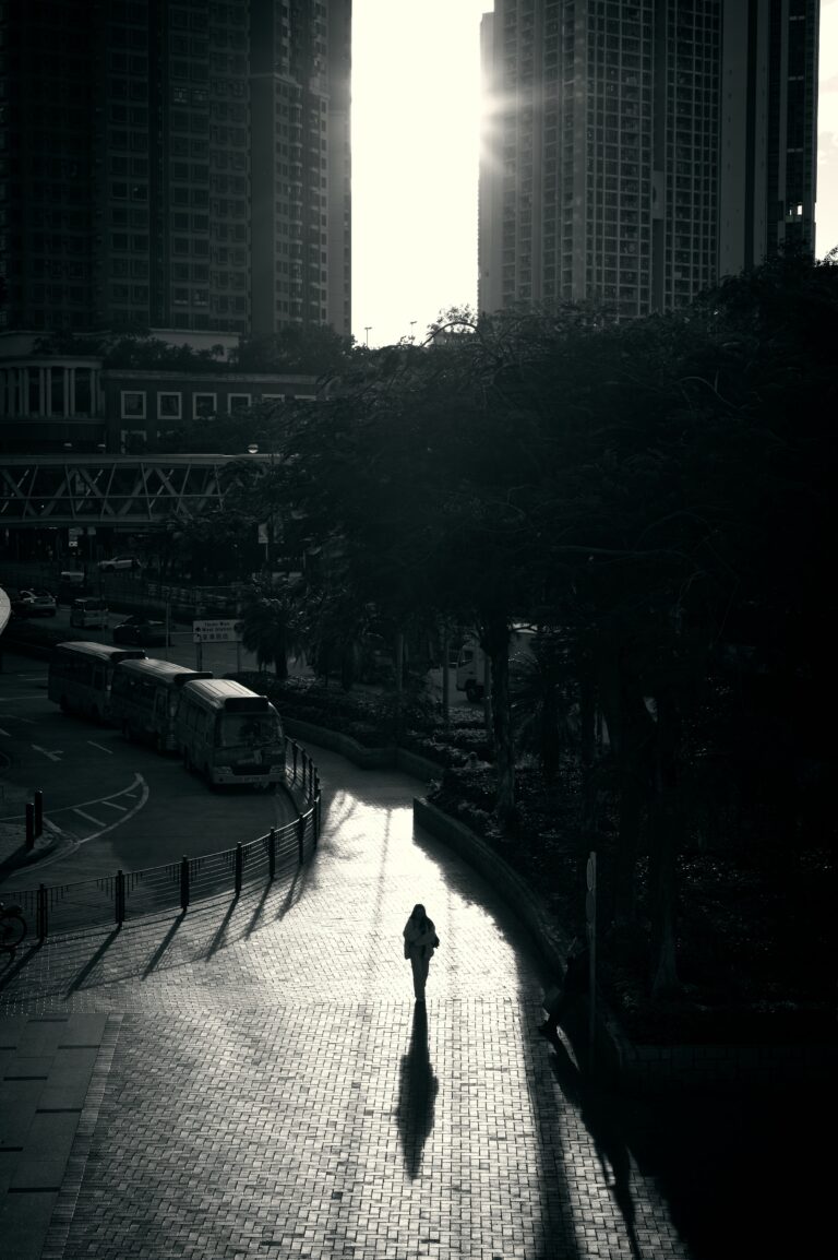 Photo by Stephen Lee