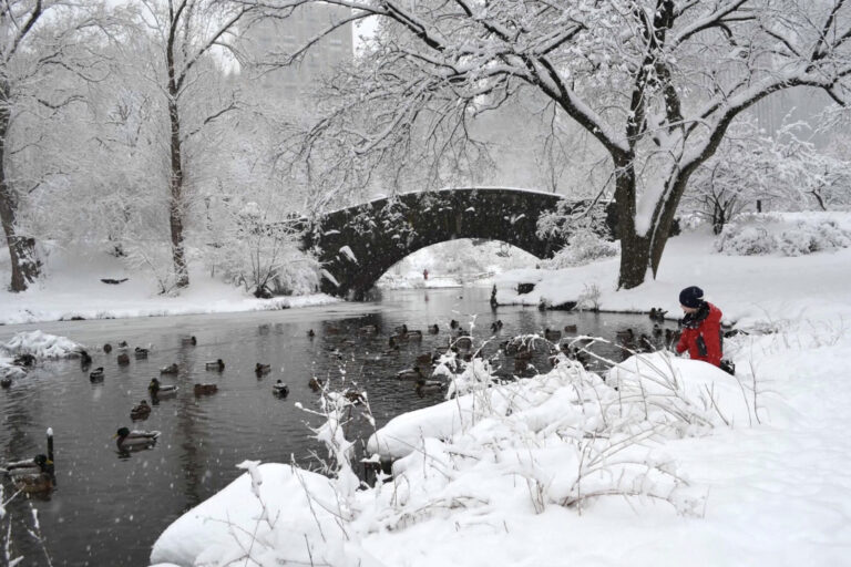 Photo by Melek Photophile