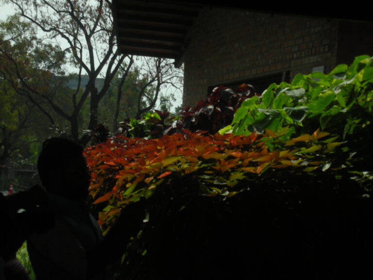 Photo by Dhruv Coppisetti