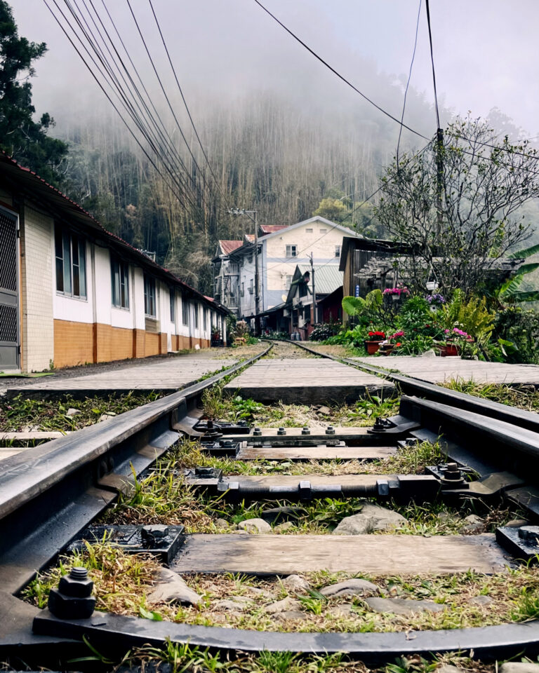 Photo by James Zhang