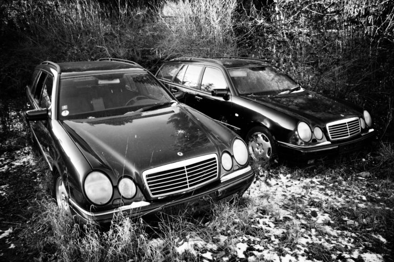 Photo by Jef 📷🍀