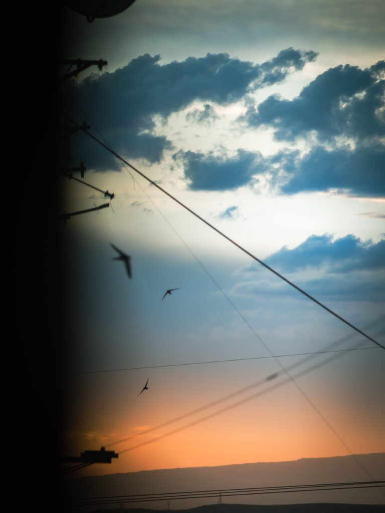 Photo by Armen Musheghyan