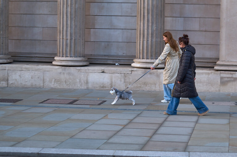 Photo by Andy Sheridan