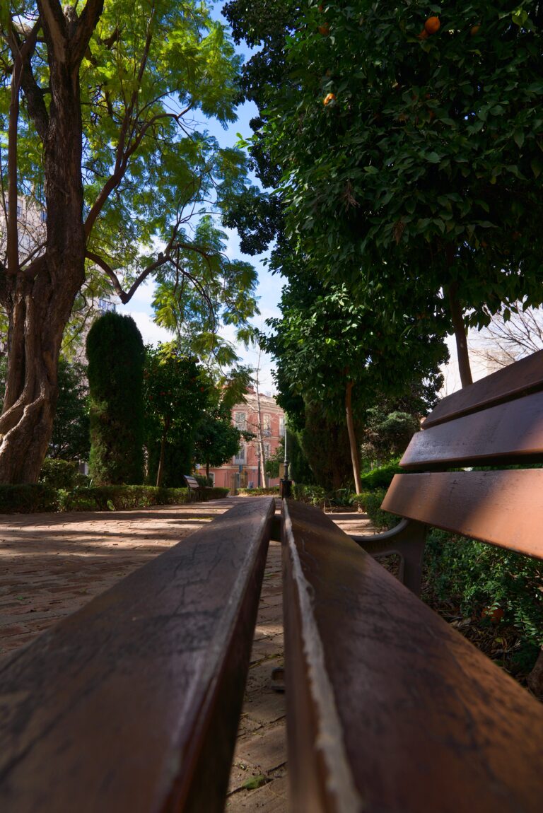 Photo by Pascal Hoerner