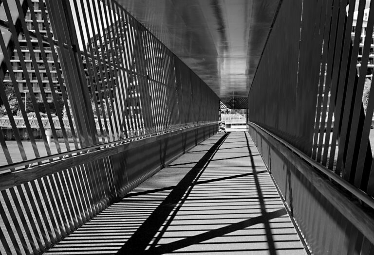 Photo by Franck Toto